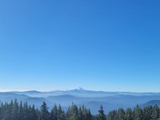 Mt. Hood National Forest