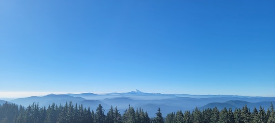 Mt. Hood National Forest