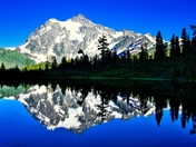 Mt. Baker National Forest