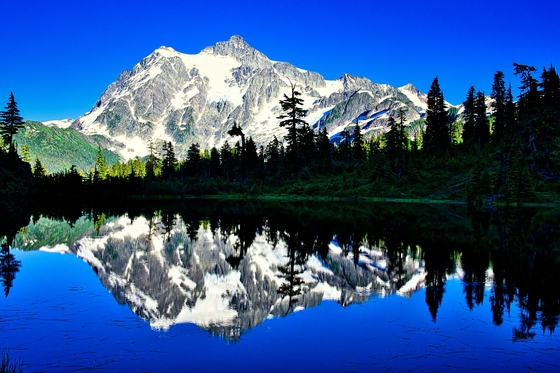 Mt. Baker National Forest