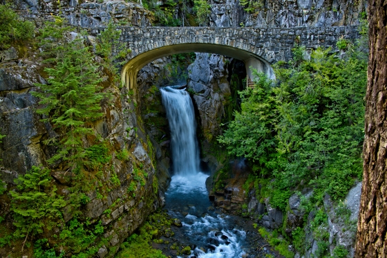 Mt. Rainier National Park
