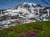 Mt. Rainier National Park