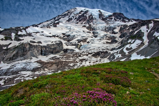 Mt. Rainier National Park