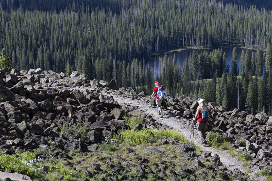 Grand Mesa National Forest
