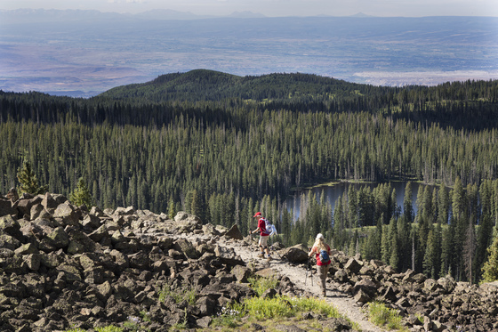 Grand Mesa National Forest
