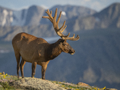 Rocky Mountain National Park