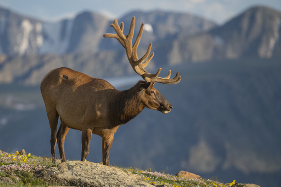 Rocky Mountain National Park