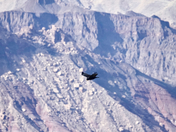 Grand Canyon National Park