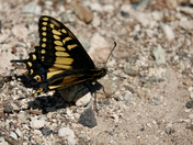 Death Valley National Park