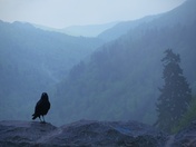 Great Smoky Mountains National Park