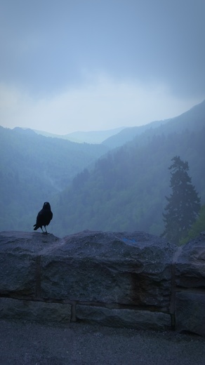 Great Smoky Mountains National Park