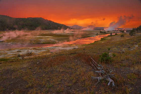 Yellowstone National Park