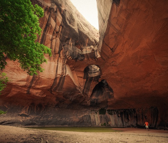 Glen Canyon National Recreation 