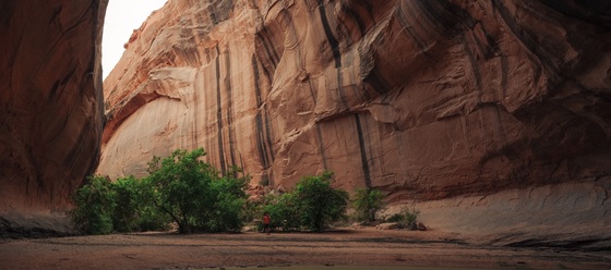 Glen Canyon National Recreation Area