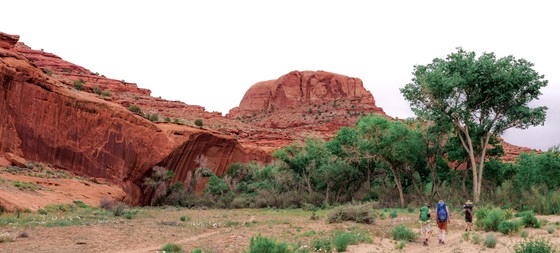 Glen Canyon National Recreation Area
