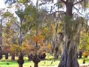 Lake bisteneau state park 