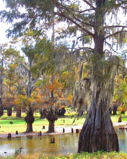Lake bisteneau state park 