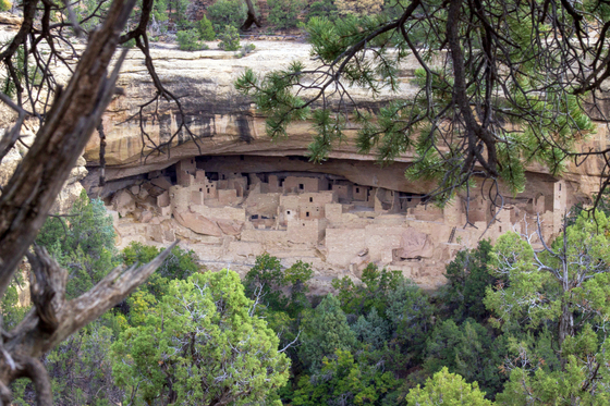 Mesa Verde National Park