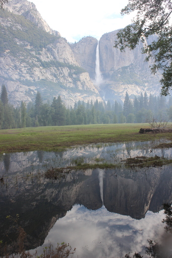 Yosemite National Park