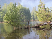 Yosemite National Park