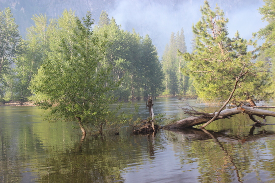 Yosemite National Park