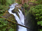 Olympic National Park
