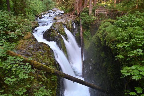 Olympic National Park