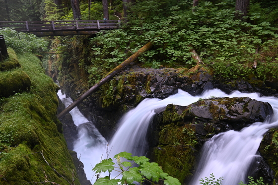 Olympic National Park