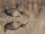 St. Marks National Wildlife Refuge