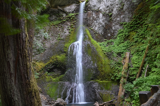 Olympic National Park
