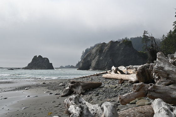 Olympic National Park