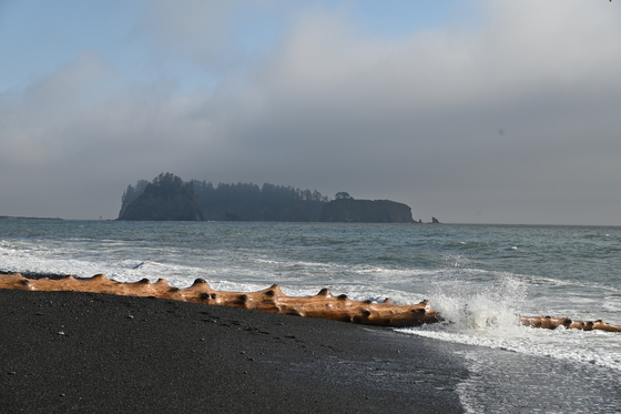 Olympic National Park 