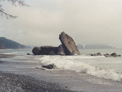 Olympic National Park 