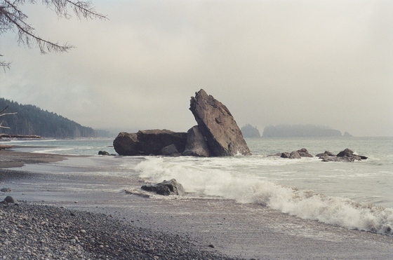 Olympic National Park 
