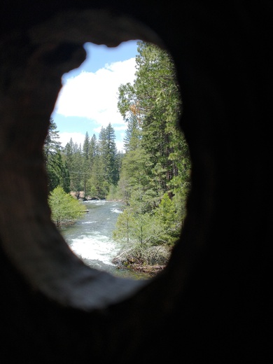 Yosemite National Park