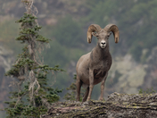 Glacier National Park