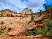Zion National Park 