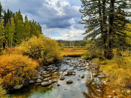 Dixie National Forest 