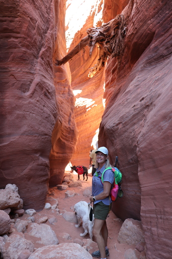 Paria Canyon-Vermilion Cliffs Wilderness