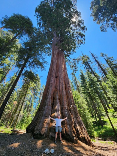 Sequoia National Park - Crescent Meadow Road
