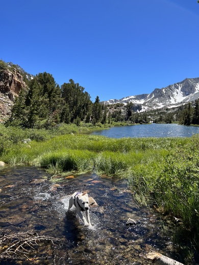 South Lake, California
