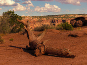 Canyonlands National park 