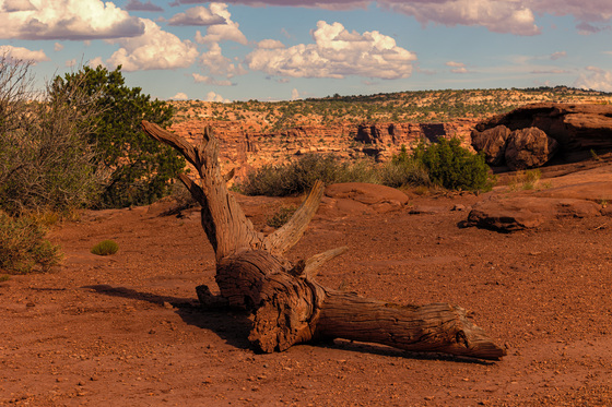 Canyonlands National park 