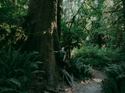 Olympic National Park