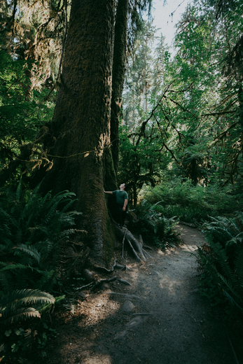 Olympic National Park