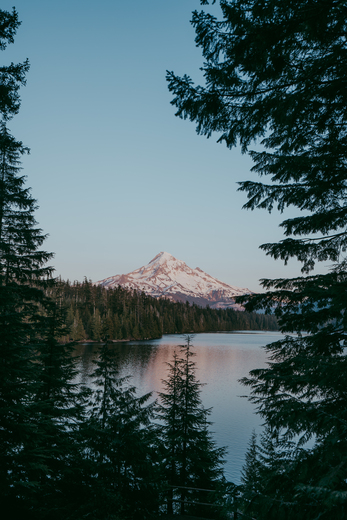 Mt. Hood National Forest Campground