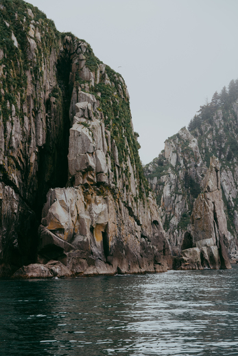 Kenai Fjords National Park