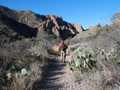 Big Bend National Park