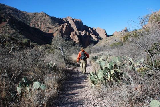 Big Bend National Park