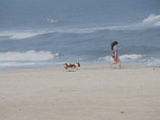 Assateague Island National Seashore